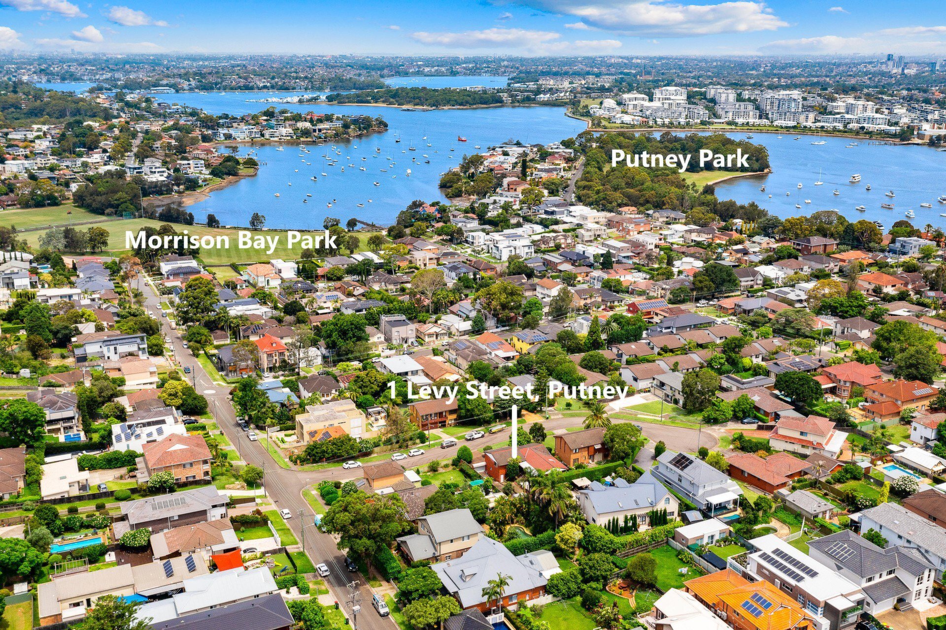 1 Levy Street, Putney Sold by Cassidy Real Estate - image 1