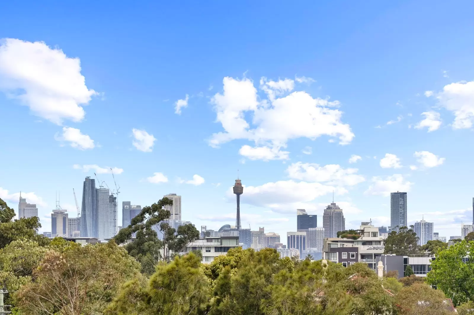 704N/2 Lardelli Drive, Ryde Leased by Cassidy Real Estate - image 1