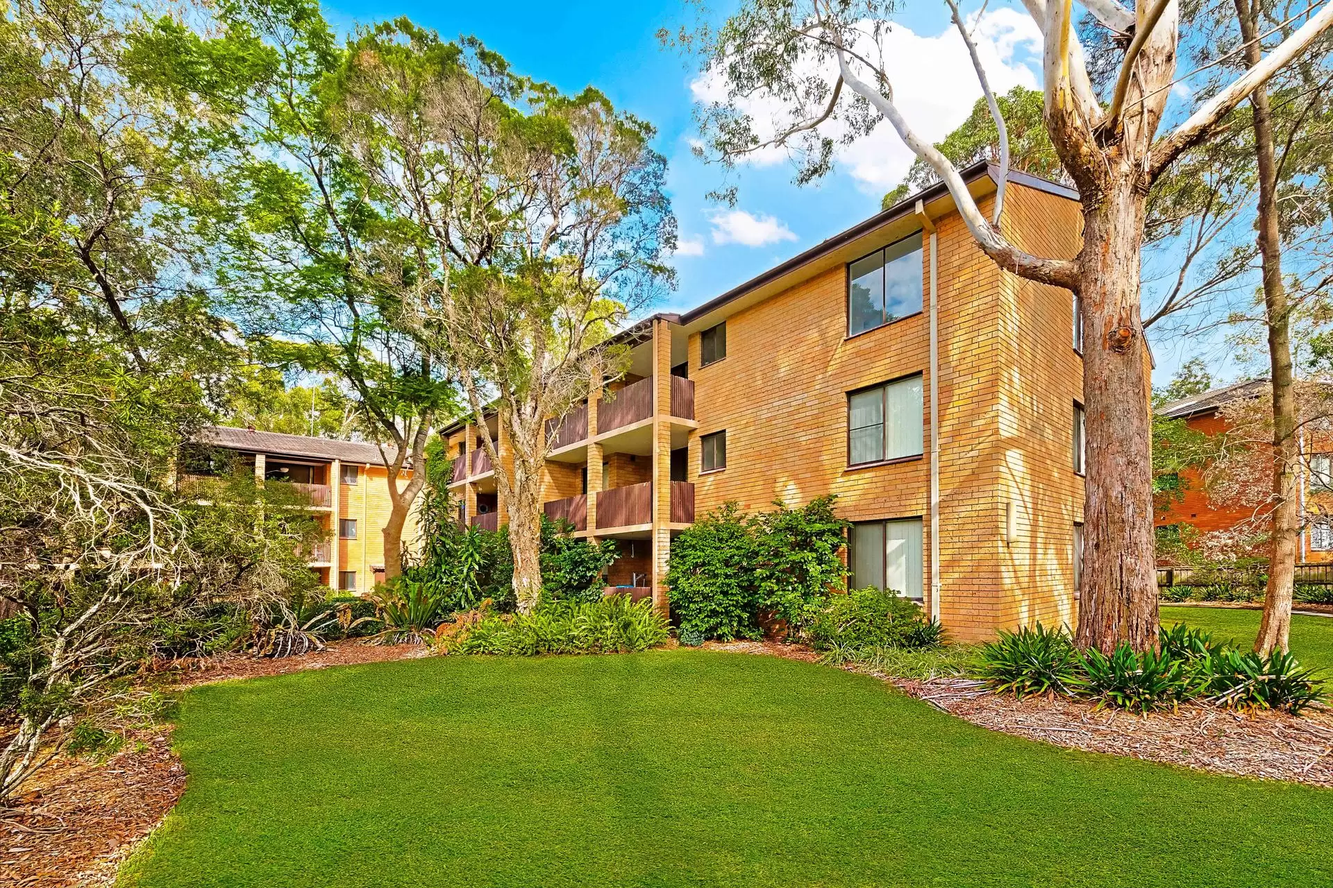 53/35-39 Fontenoy Road, Macquarie Park For Lease by Cassidy Real Estate - image 1