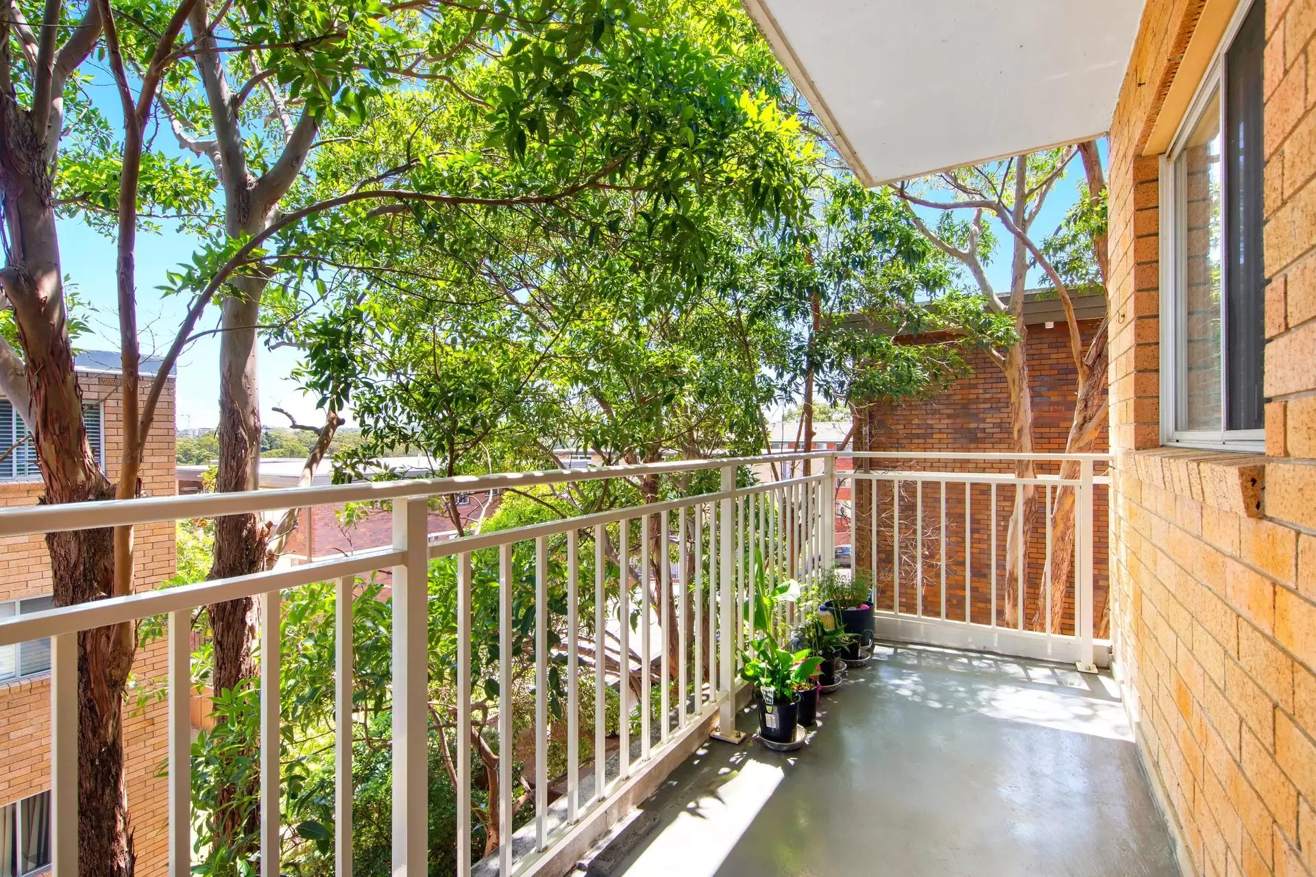 15/7 Meadow Crescent, Meadowbank Sold by Cassidy Real Estate - image 1