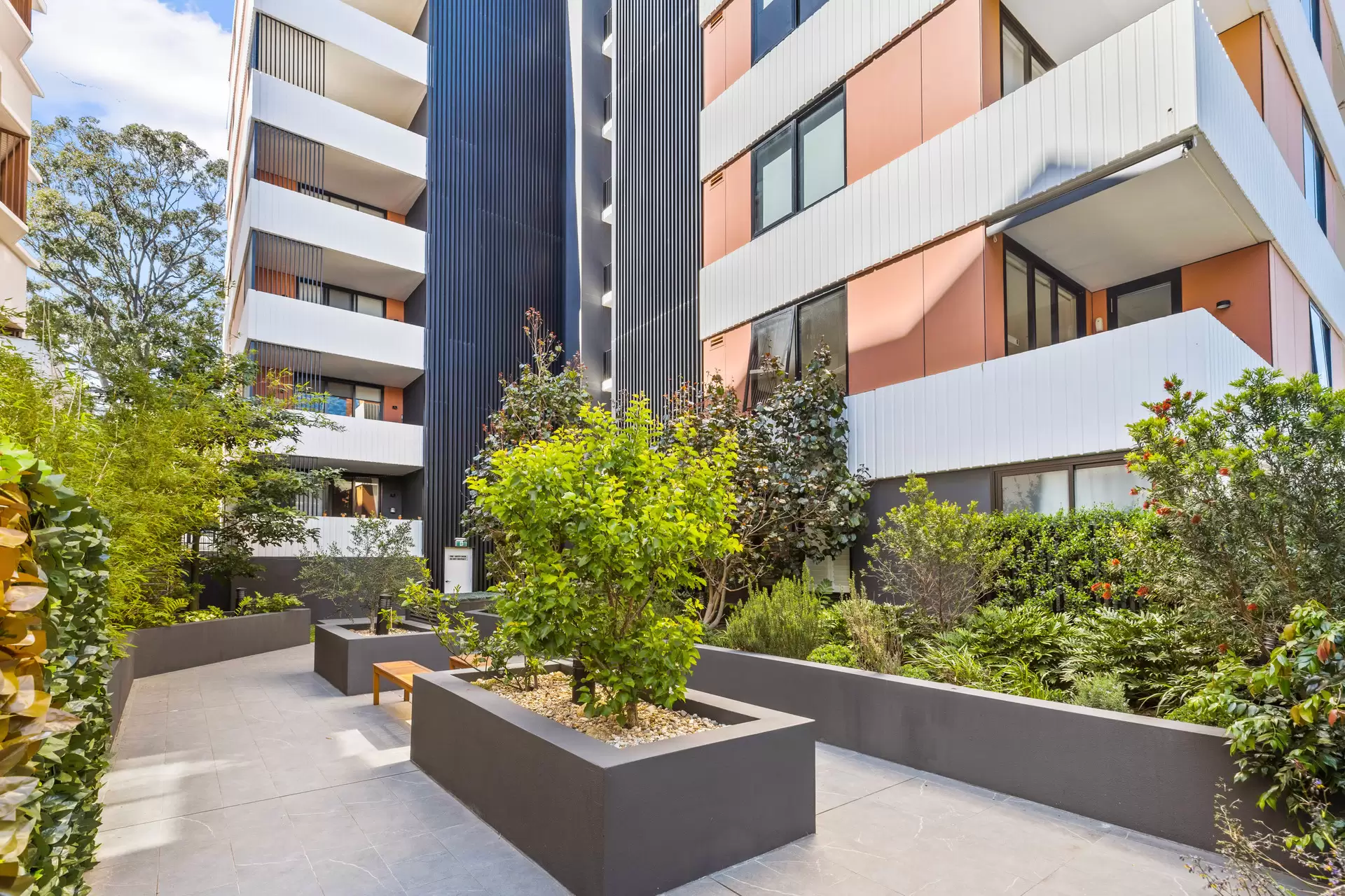 25/13 Jordan Street, Gladesville Leased by Cassidy Real Estate - image 1