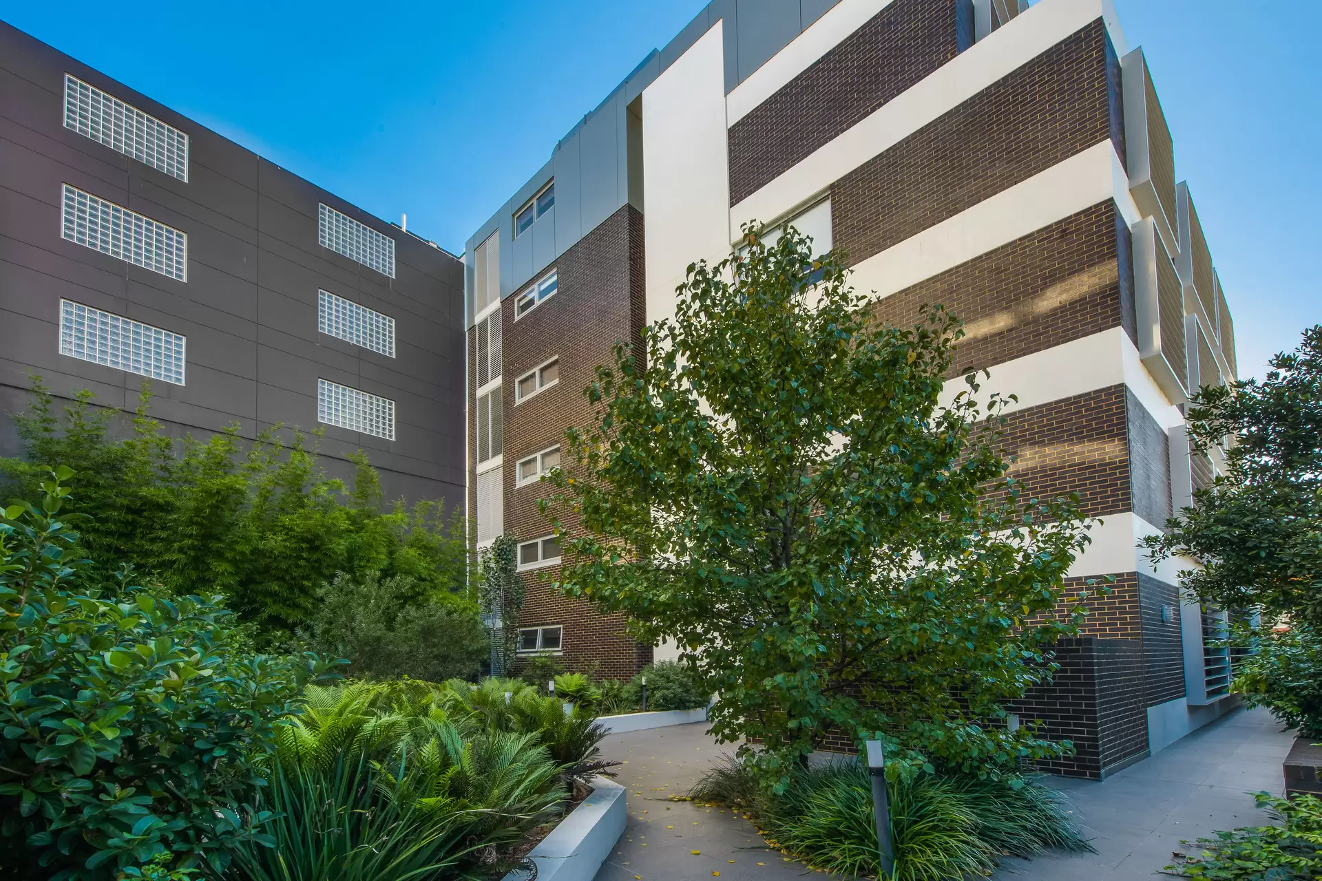 4/157 Victoria Road, Gladesville Leased by Cassidy Real Estate - image 1