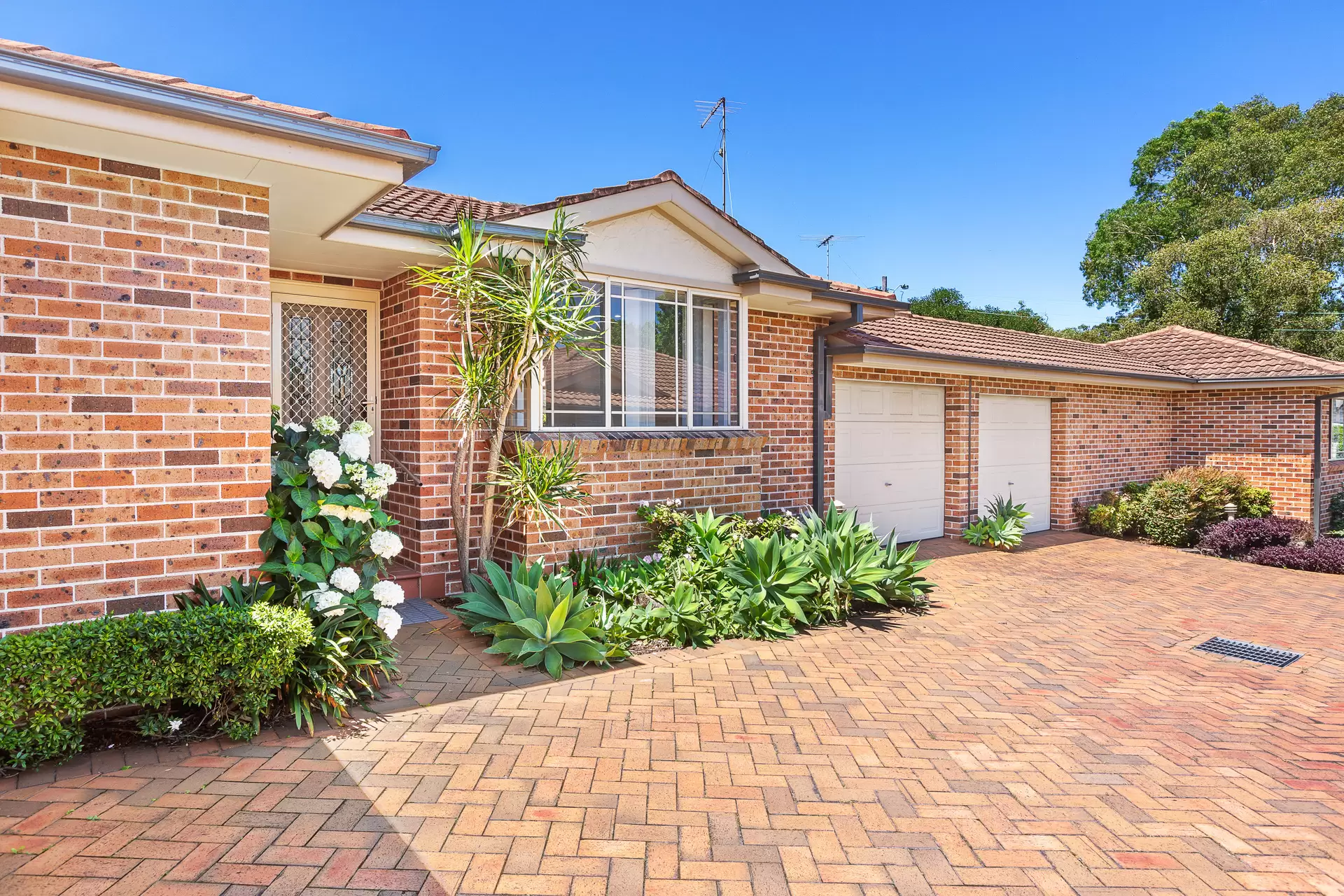 4/13-15 Tennyson Road, Ryde Auction by Cassidy Real Estate - image 1