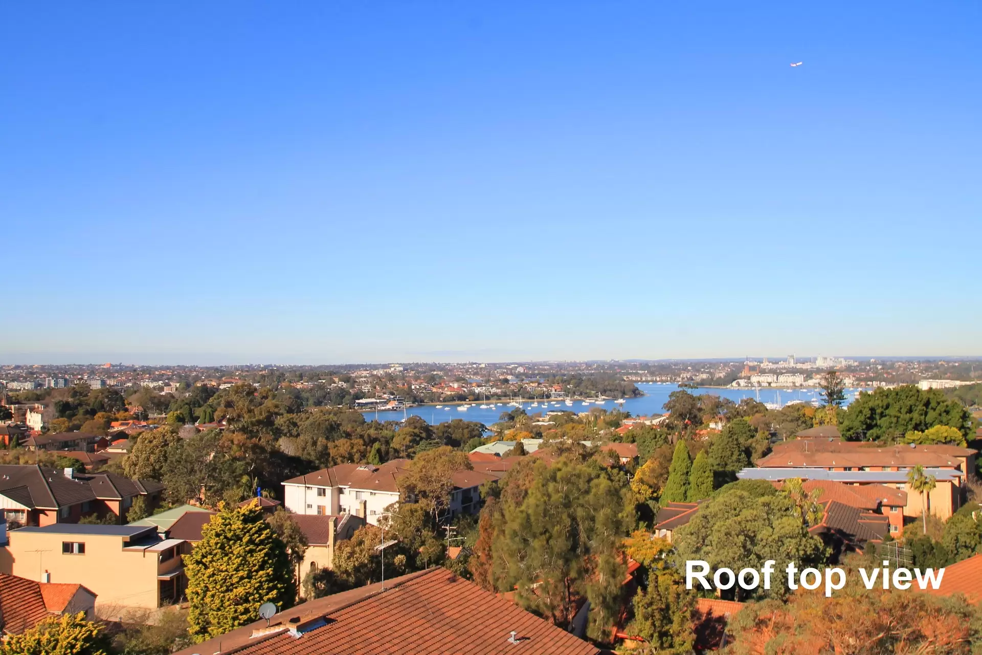 207/5-11 Meriton Street, Gladesville For Lease by Cassidy Real Estate - image 1