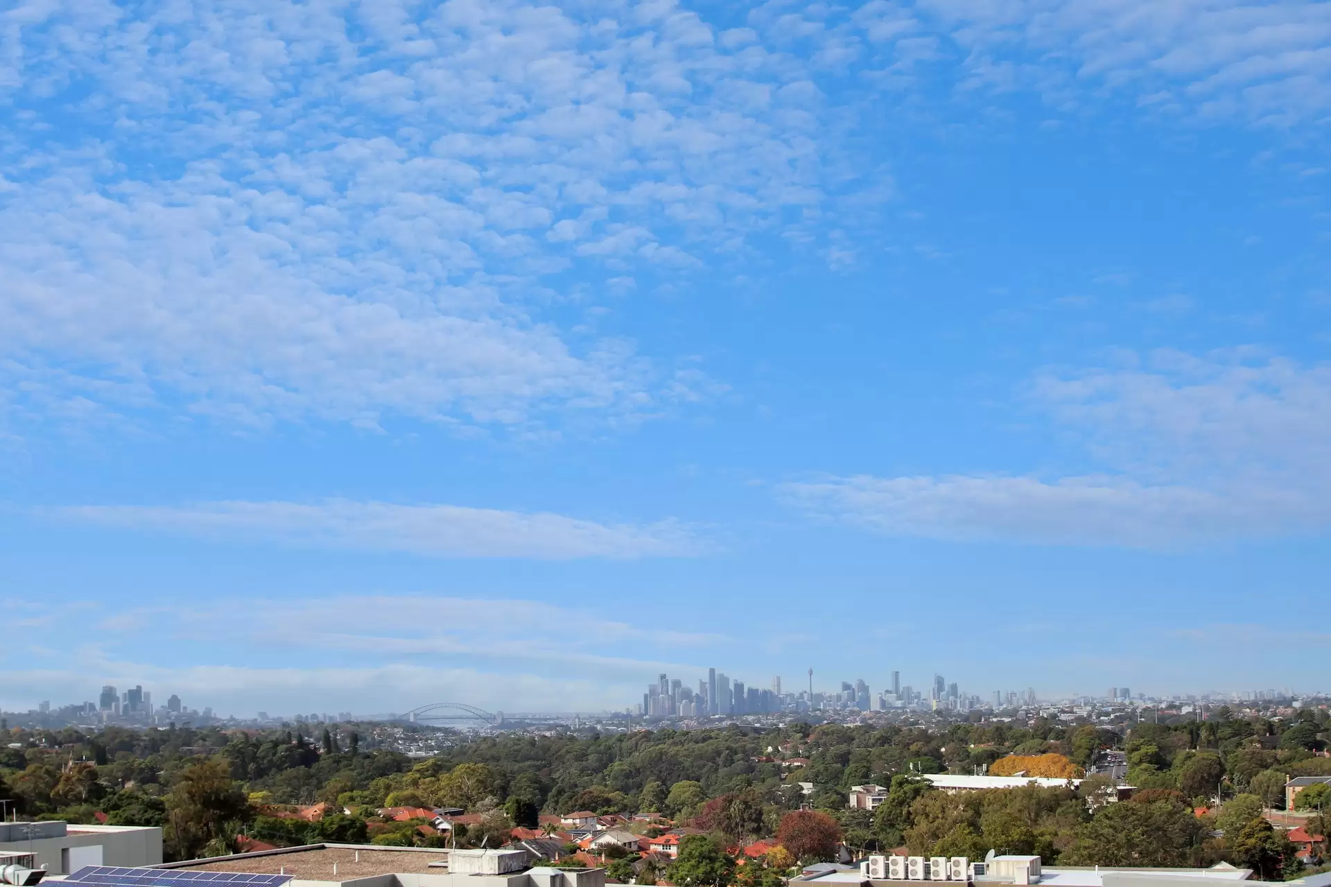 205/8 Wharf Road, Gladesville For Lease by Cassidy Real Estate - image 1