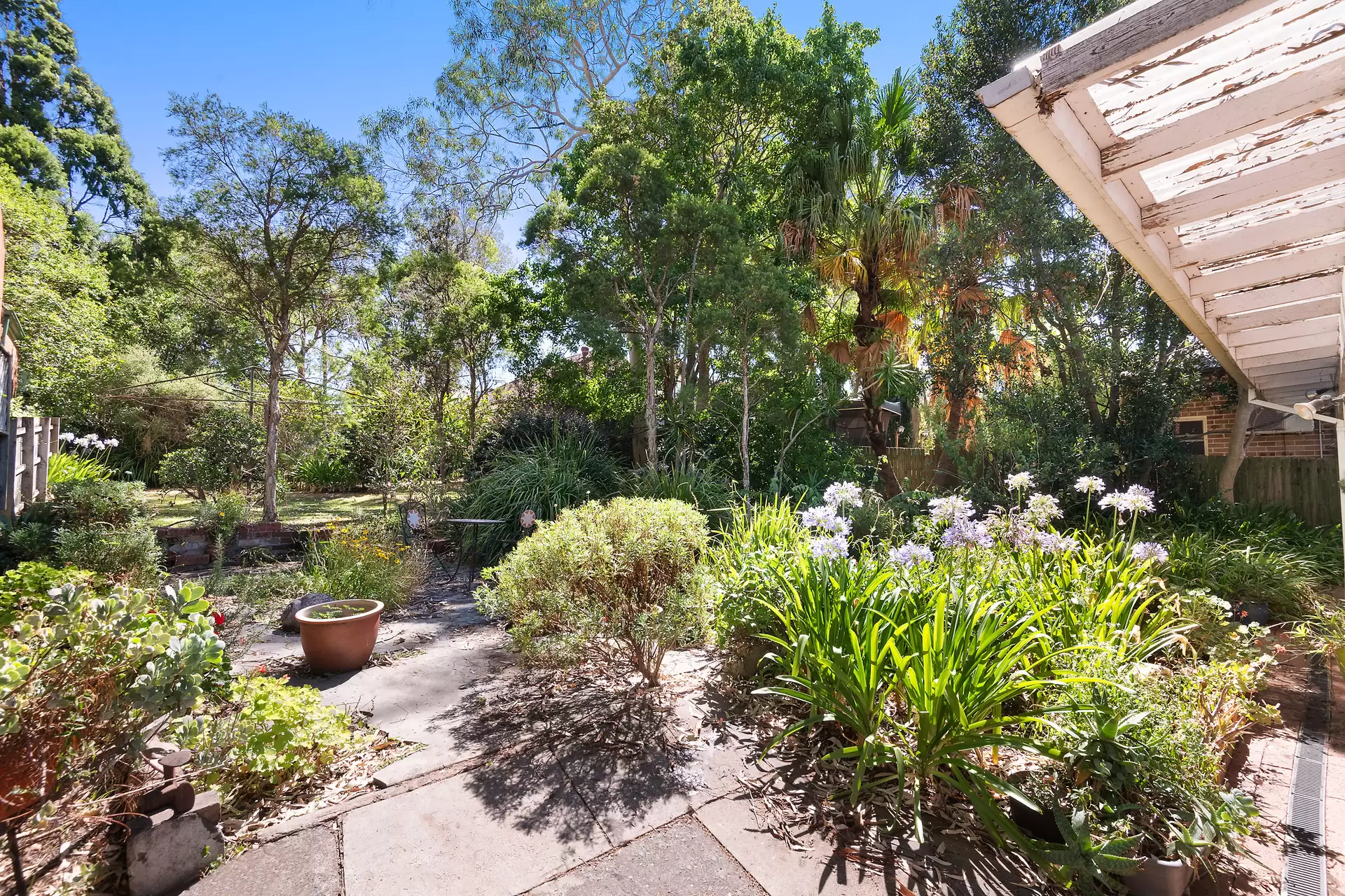 232 Morrison Road, Putney Auction by Cassidy Real Estate - image 1