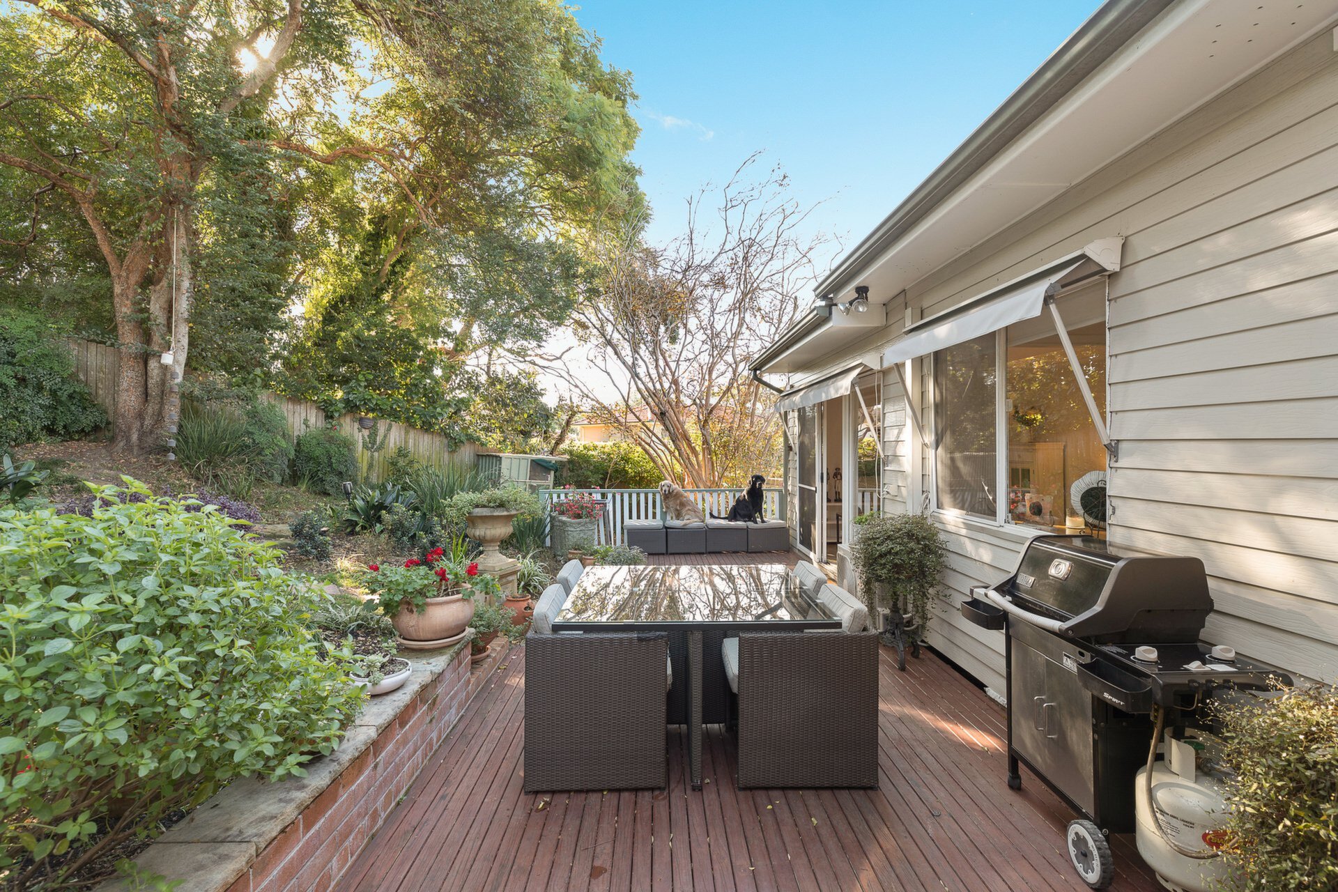 3 Bass Street, Putney Sold by Cassidy Real Estate - image 1